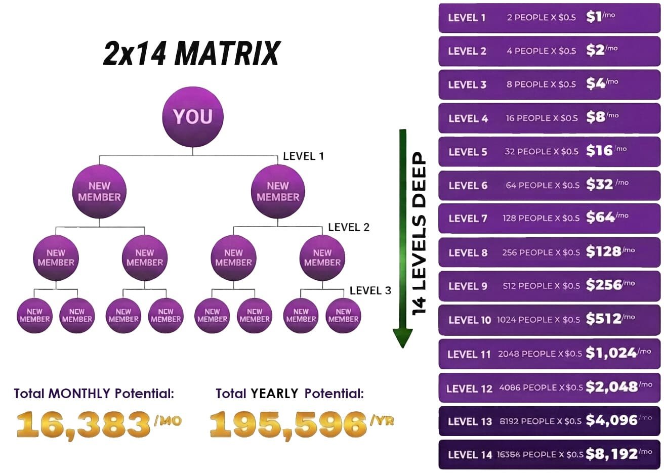Matrix